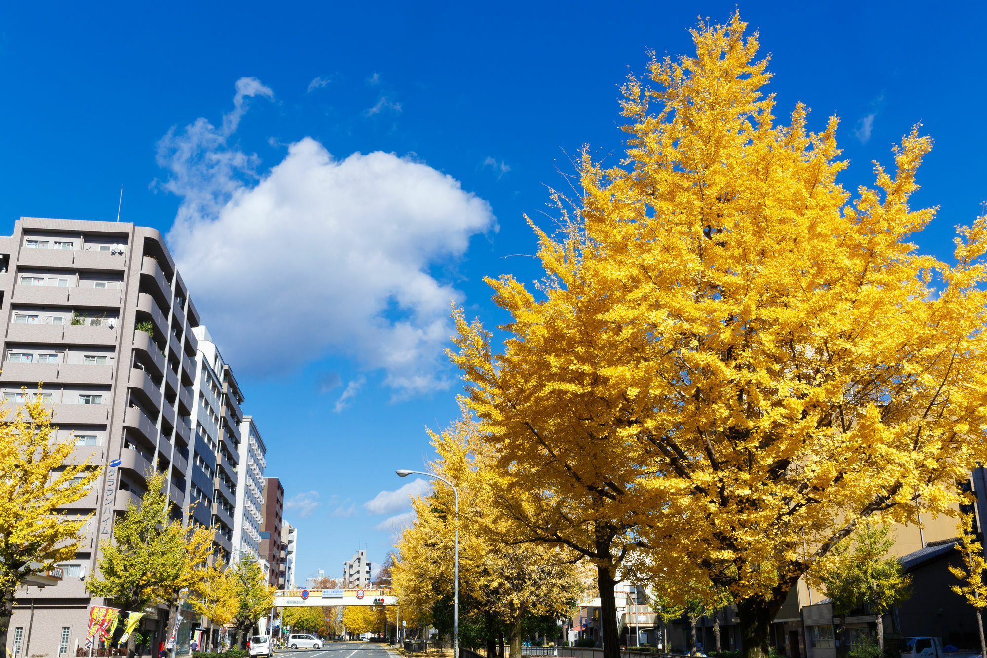 Kyoto City Hotel Екстер'єр фото